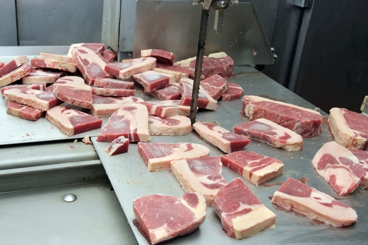   Hình ảnh Máy cưa xương thịt đông JG-650-2