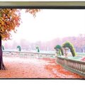 Màn Điện Remote Screen 84”x63”