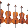 Pearl River Cello C030