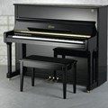 Đàn Piano Brandnew Essex EUP-116E