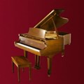 Đàn Piano Brandnew Essex EGP-183C