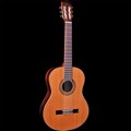 Classical Guitar C238