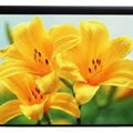 Màn chiếu điện PRIMA 240 x 180 inch