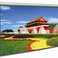 Màn chiếu treo tường Prima  96” x 96”