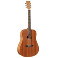 Famosa Acoustic Guitar FD25SU