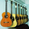 Famosa Acoustic Guitar FD35SU