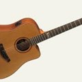 Famosa Acoustic Guitar FD25CUE