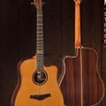 Famosa Acoustic Guitar FD35CU