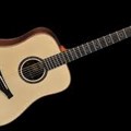 Famosa Acoustic Guitar FD85S