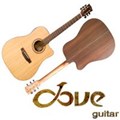 Dove Acousic Guitar DD-28CE