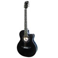 Newtou Acoustic Guitar AGW3921