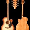 Beling Acoustic Guitar BF-200 CDBS