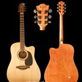 Beling Acoustic Guitar BF-300 CDBS