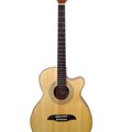 Monica Acoustic Guitar 4005