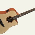 Deviser Acoustic Guitar L-820A