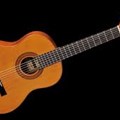 Famosa Classic Guitar FC20C