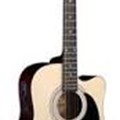 Đàn guitar SDG-6CENL