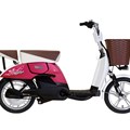 Xe đạp điện Yamaha Cute Girl F