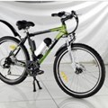 Xe đạp điện Chinsu TDF119Z 250W