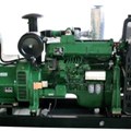 Máy phát điện LISTER PETTER CT16Lm