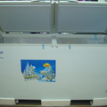 Tủ đông lạnh Daewoo DE-1288