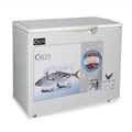 Tủ đông lạnh IXOR IXR-C31E