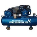Máy nén khí PEGASUS TM-W-1.0/8-330L