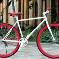 Những mẫu fixed gear mầu sắc đẹp 