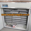 MÁY ẤP TRỨNG NHẬP KHẨU KN-1848