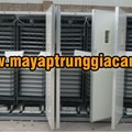 MÁY ẤP TRỨNG NHẬP KHẨU KN-33792