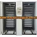 MÁY ẤP TRỨNG NHẬP KHẨU KN-8448