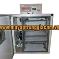 Máy ấp trứng nhập khẩu KN-144 pcs