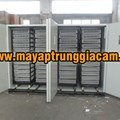 Máy ấp trứng nhập khẩu KN-19800 CE