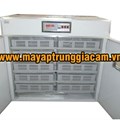 Máy nở KN-1 2000pcs