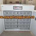 Máy ấp trứng KN-7