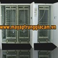 Máy nở KN-9 14784 pcs