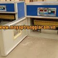 MÁY ẤP TRỨNG NHẬP KHẨU KN-48