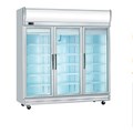 TỦ TRƯNG BÀY 2 CÁNH ĐÔNG 1 CÁNH MÁT 1 CÁNH KIẾNG 3D/D2F1C-S