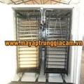 MÁY ẤP TRỨNG NHẬP KHẨU KN-8848