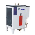 Nồi hơi điện tự động (3Kw), bơm tự động DLD3-0.4-A1