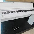 Đàn Piano Upright KORG LP 180