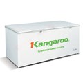 Tủ đông kháng khuẩn kangaroo KG 809C1