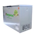 Tủ đông kháng khuẩn Kangaroo KG699VC1