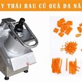 Máy thái rau củ quả đa năng VC 65