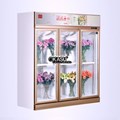 Tủ trưng bày và bảo quản hoa tuwoi OKASU-SG18ZA-3