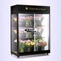 Tủ trưng bày và bảo quản hoa tươi OKASU OKS-SG09YG