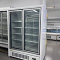 Tủ Đông 2 Cánh Kính Carrier LD12205LBE