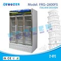 Tủ mát trưng bày trái cây Frozen FRG-2400FS