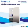 Tủ cấp đông nhanh thực phẩm Frozen FR-830L