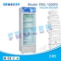 Tủ mát 1 cánh đứng  Frozen FRG-1200FS